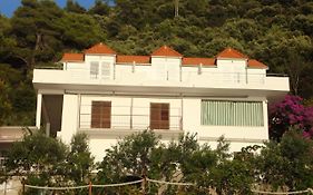 Apartments By The Sea Ubli, Lastovo - 8354