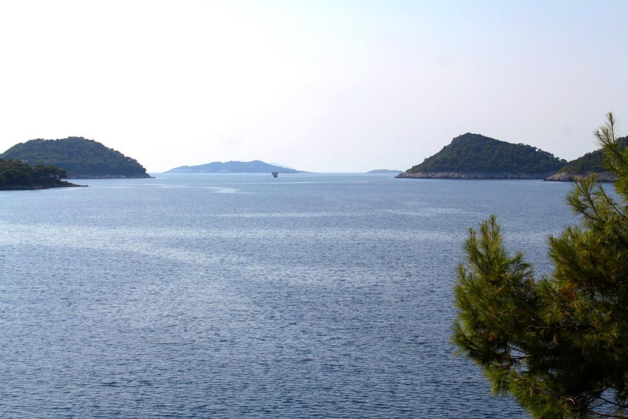 Apartments By The Sea Ubli, Lastovo - 8354 Uble Extérieur photo